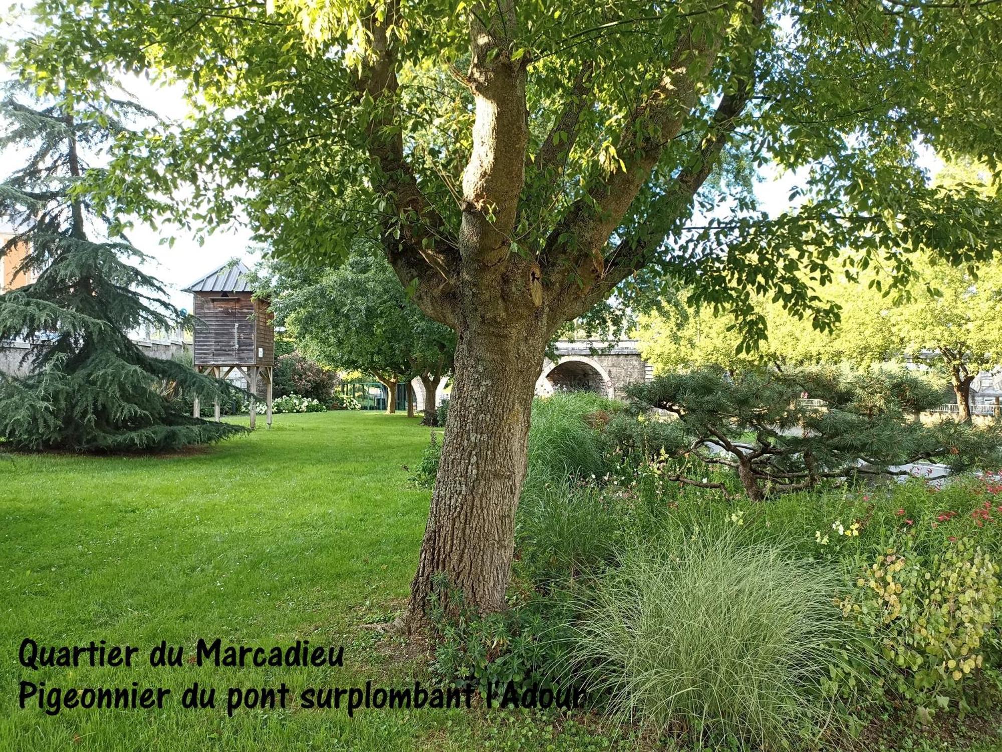 Studio Tarbes Marcadieu Exterior foto
